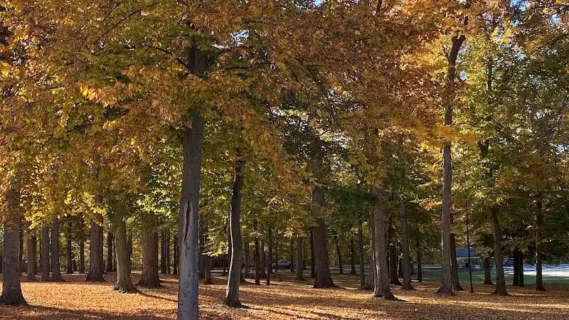 St. Johns City Park - St Johns,