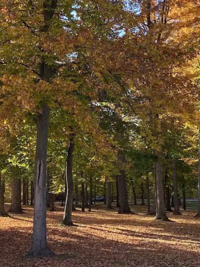 St. Johns City Park - St Johns,