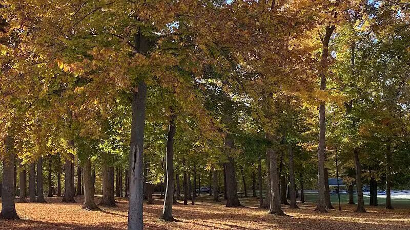 St. Johns City Park - St Johns,