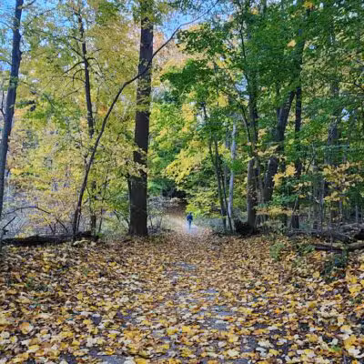 Riverview Park - St Joseph,