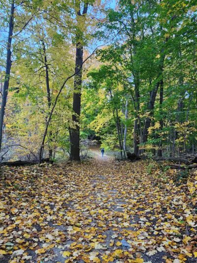 Riverview Park - St Joseph,