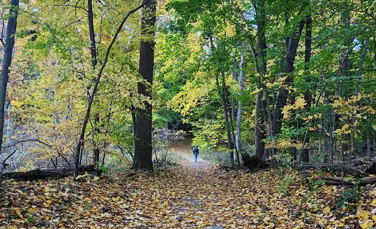 Riverview Park - St Joseph,