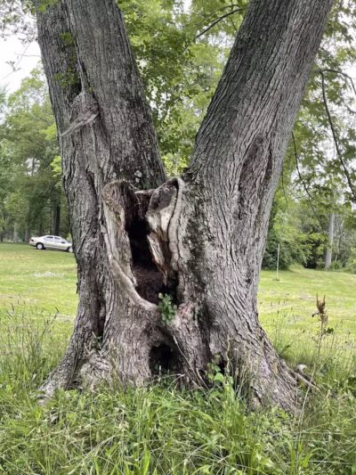 Riverview Park - St Joseph,