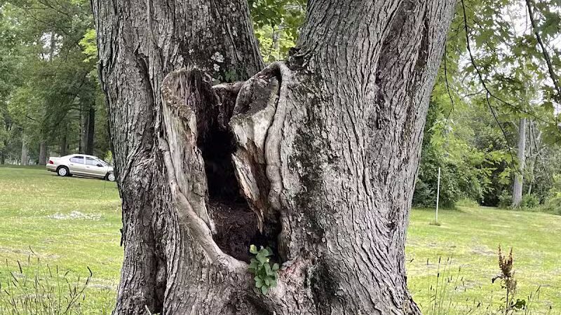 Riverview Park - St Joseph,