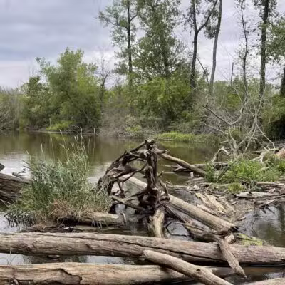 Riverview Park - St Joseph,