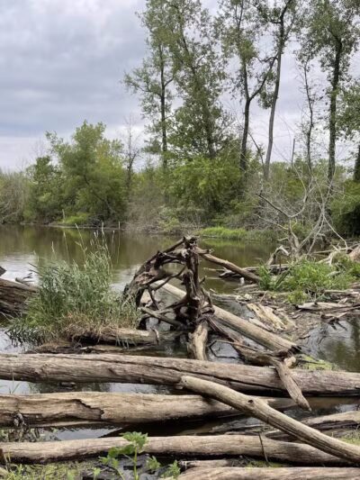 Riverview Park - St Joseph,