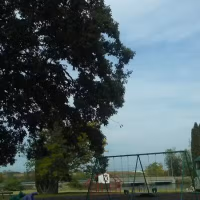 Leppien Park - St. Louis,
