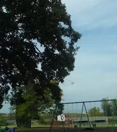 Leppien Park - St. Louis,