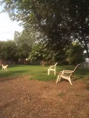 Frenchtown Member's Only Dog Park - St. Louis, MO
