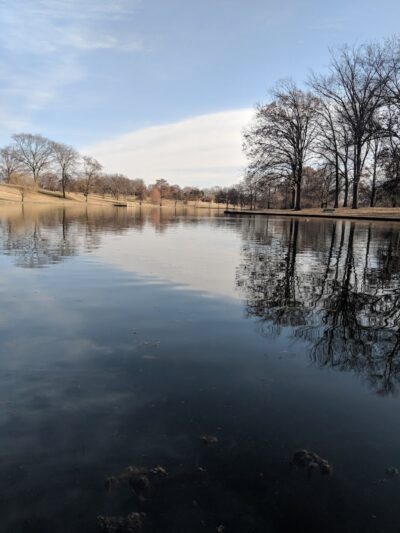 Southwest City Dog Park (Members Only) - St. Louis, MO