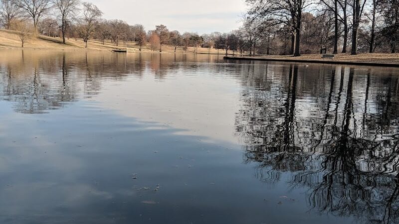 Southwest City Dog Park (Members Only) - St. Louis, MO