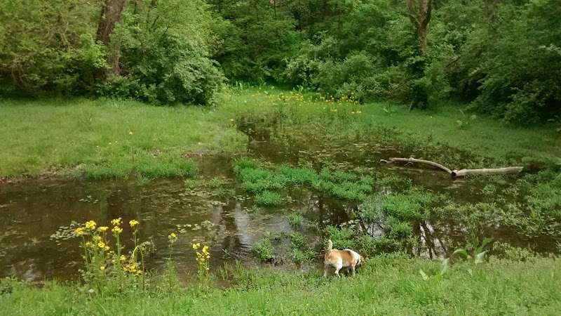 Southwest City Dog Park (Members Only) - St. Louis, MO