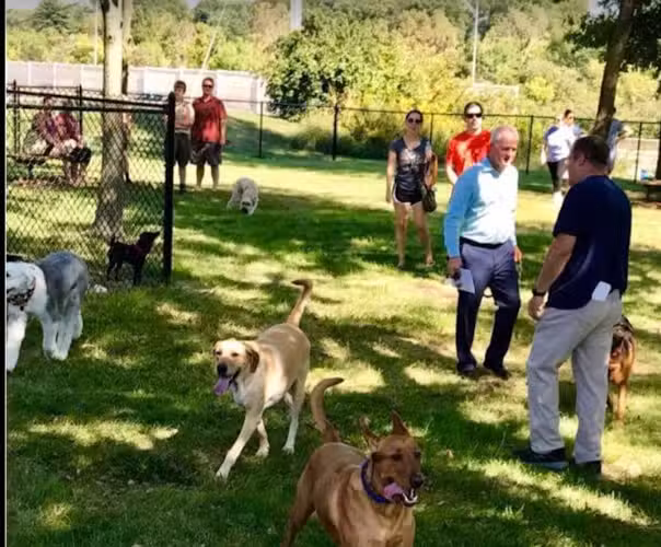St. Johns Community Dog Park - St. Louis, MO