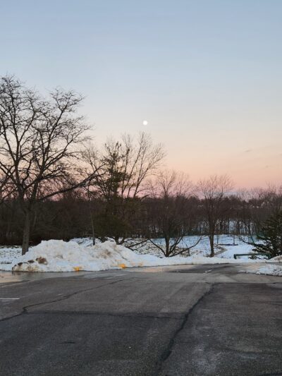 Tails & Trails Dog Park at Queeny Park(membership) - St. Louis, MO