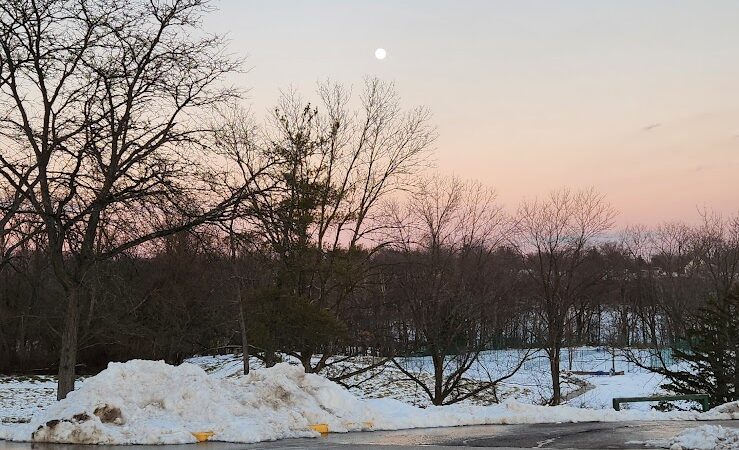 Tails & Trails Dog Park at Queeny Park(membership) - St. Louis, MO