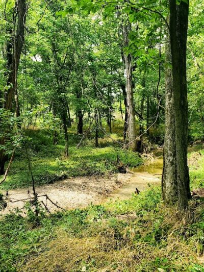 Tails & Trails Dog Park at Queeny Park(membership) - St. Louis, MO