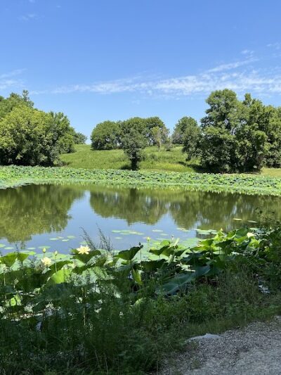 Tails & Trails Dog Park at Queeny Park(membership) - St. Louis, MO