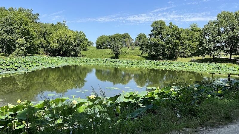 Tails & Trails Dog Park at Queeny Park(membership) - St. Louis, MO