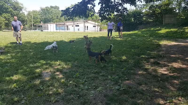 Treecourt Unleashed Dog Adventure Park | Dog Park | (Registration Required) - St. Louis, MO
