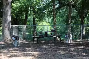 Dakota Dog Park - St Louis Park, MN