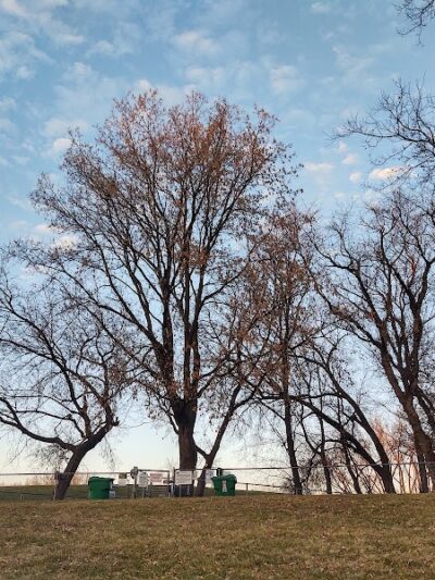 Dakota Dog Park - St Louis Park, MN