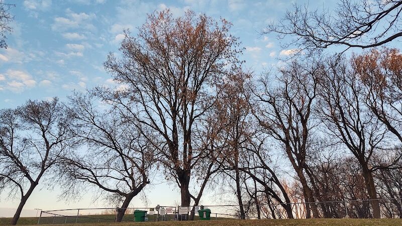 Dakota Dog Park - St Louis Park, MN