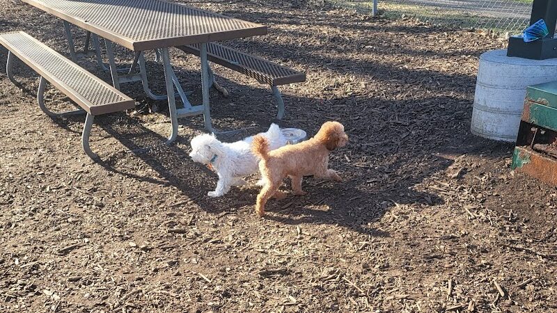 Dakota Dog Park - St Louis Park, MN