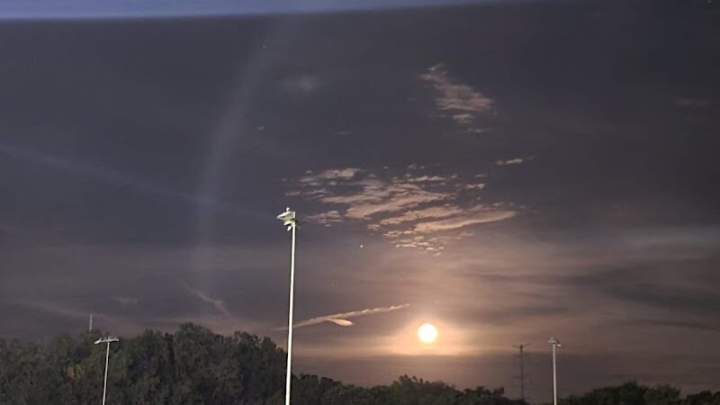 Dakota Dog Park - St Louis Park, MN