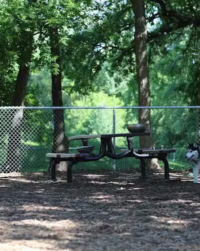 Dakota Dog Park - St Louis Park, MN