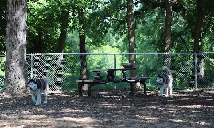 Dakota Dog Park - St Louis Park, MN