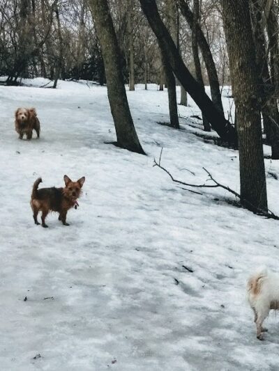 Arlington/Arkwright Off Leash Dog Park - St Paul, MN