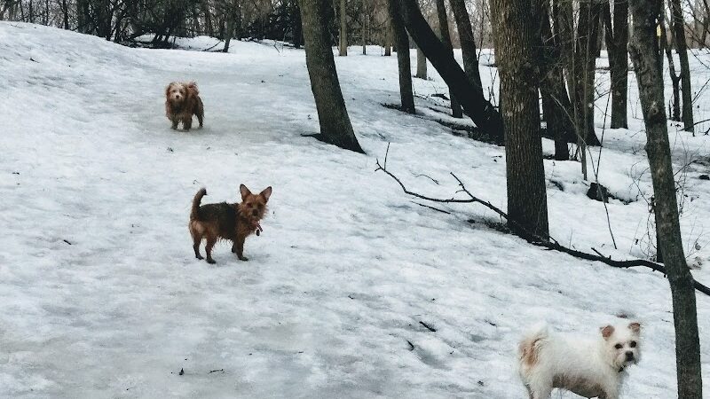 Arlington/Arkwright Off Leash Dog Park - St Paul, MN
