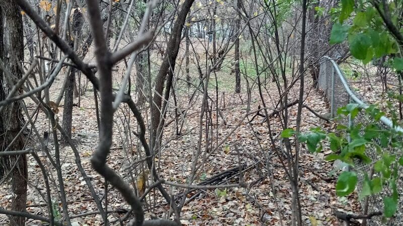 Arlington/Arkwright Off Leash Dog Park - St Paul, MN