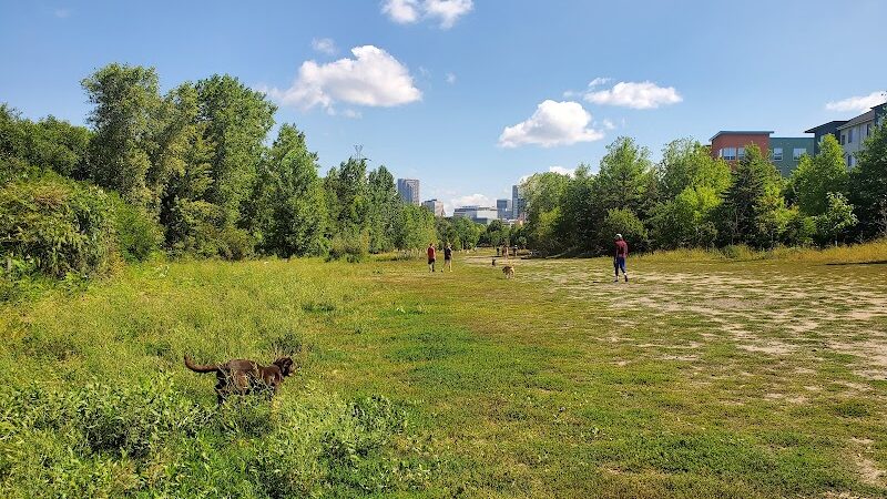 High Bridge Dog Park - St Paul, MN