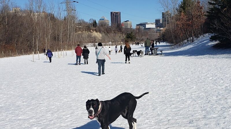 High Bridge Dog Park - St Paul, MN