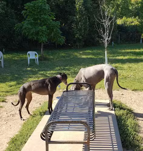 High Bridge Dog Park - St Paul, MN