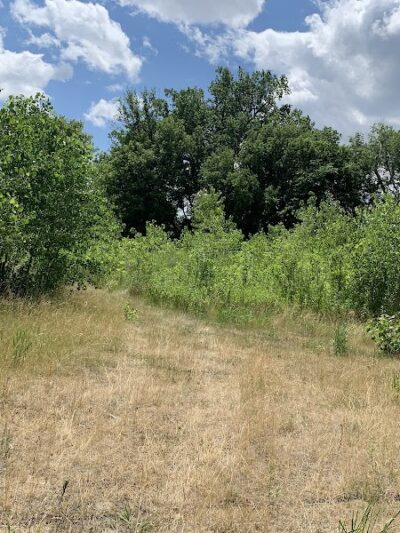 Lilydale Off-Leash Dog Park - St Paul, MN