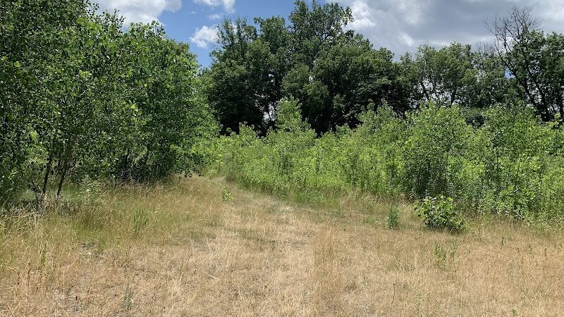 Lilydale Off-Leash Dog Park - St Paul, MN
