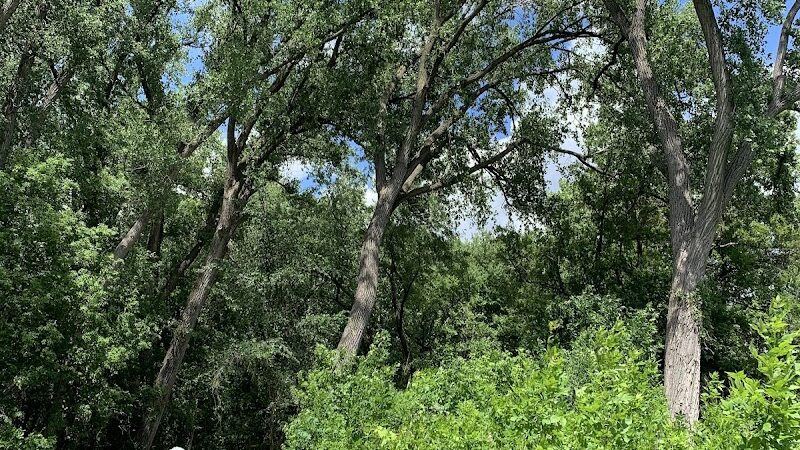 Lilydale Off-Leash Dog Park - St Paul, MN