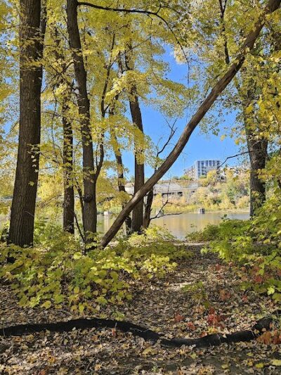 Lilydale Off-Leash Dog Park - St Paul, MN