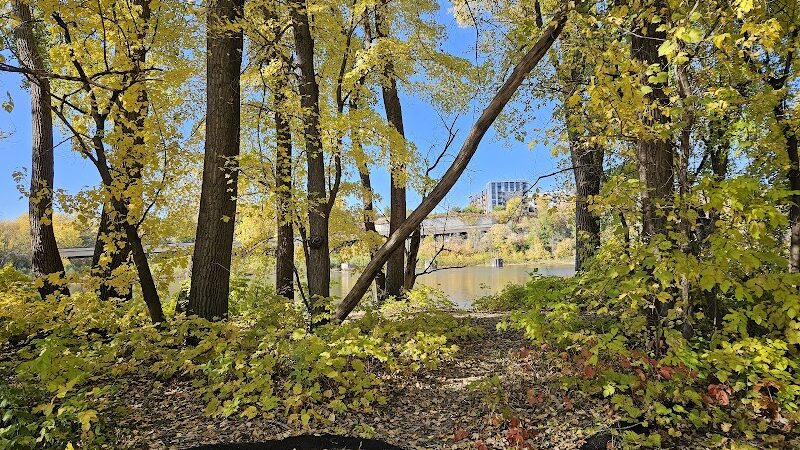 Lilydale Off-Leash Dog Park - St Paul, MN