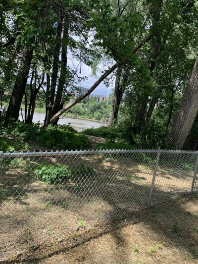 Lilydale Off-Leash Dog Park - St Paul, MN