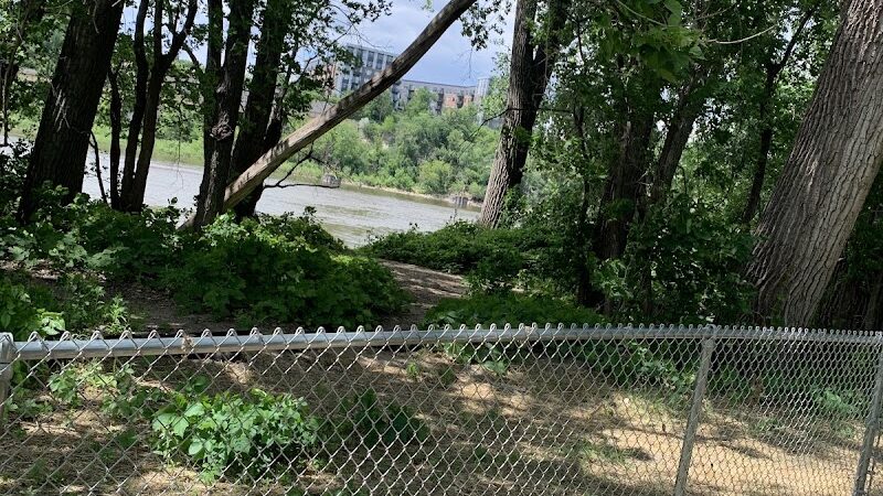 Lilydale Off-Leash Dog Park - St Paul, MN