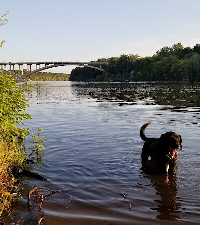 Meeker Island Dog Park - St Paul, MN