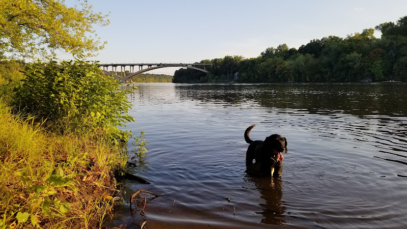 Meeker Island Dog Park - St Paul, MN