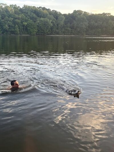 Meeker Island Dog Park - St Paul, MN