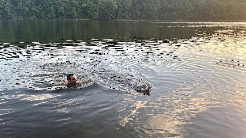 Meeker Island Dog Park - St Paul, MN