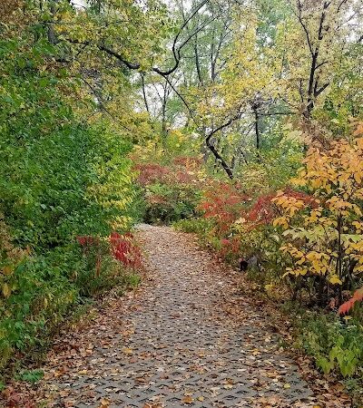 Meeker Island Dog Park - St Paul, MN