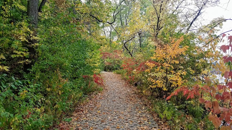 Meeker Island Dog Park - St Paul, MN