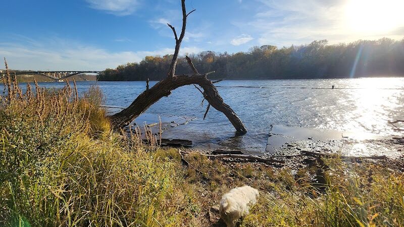 Meeker Island Dog Park - St Paul, MN